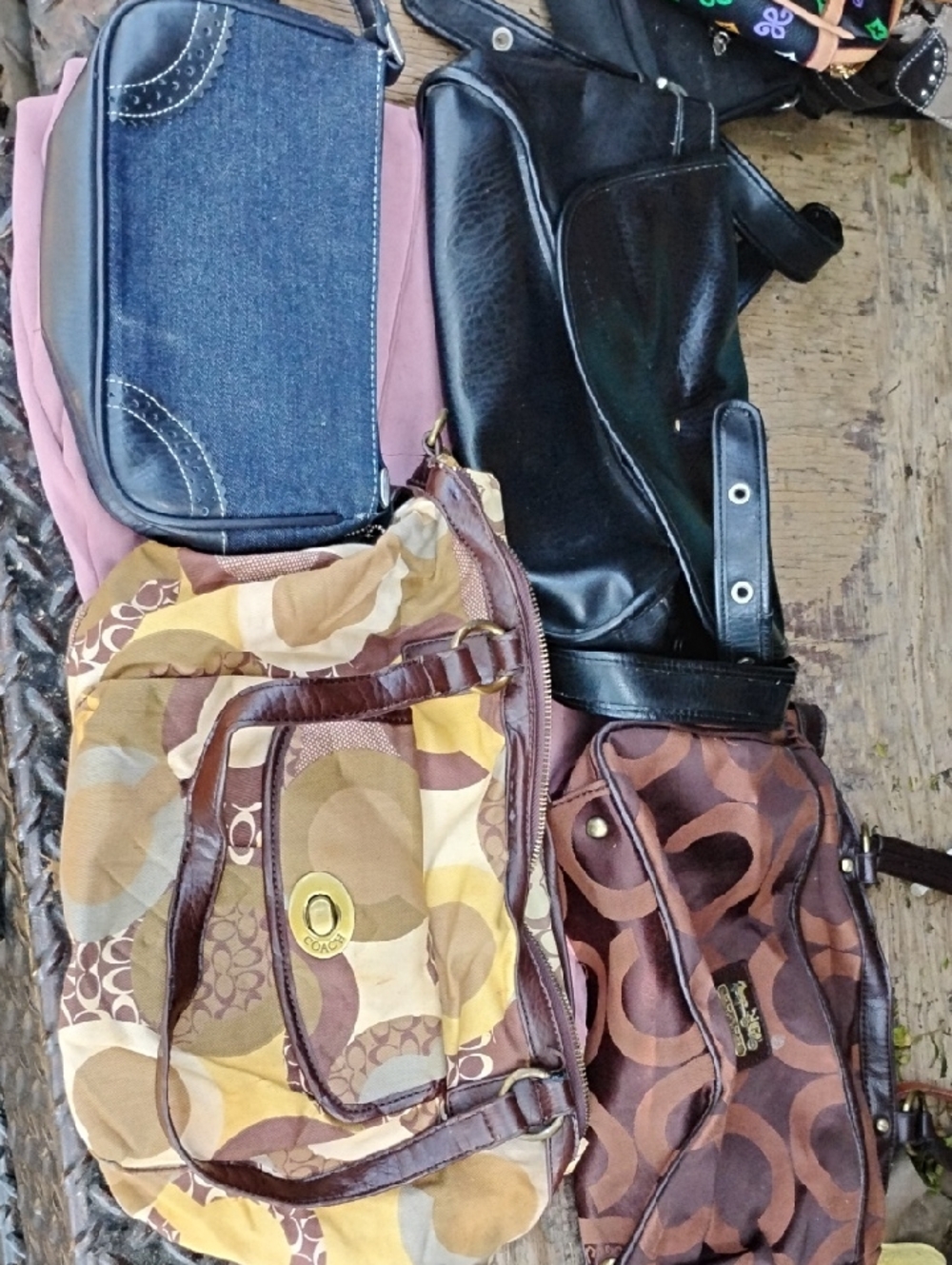 Coach Bags(4)